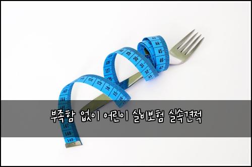 부족함 없이 어린이 실비보험 실속견적 