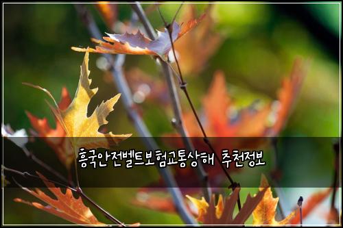 ํฅ๊ตญ์์ ๋ฒจํธ๋ณดํ๊ตํต์ํด ์ถ์ฒ์ ๋ณด