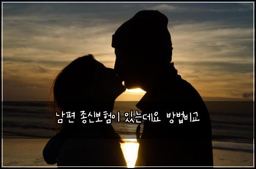 ๋จํธ ์ข
์ ๋ณดํ์ด ์๋๋ฐ์ ๋ฐฉ๋ฒ๋น๊ต