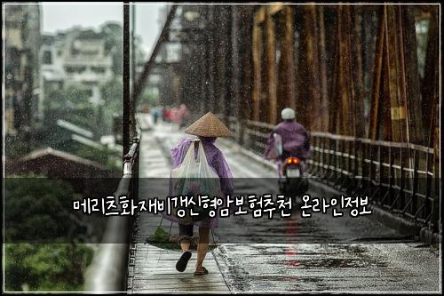 메리츠화재비갱신형암보험추천 온라인정보