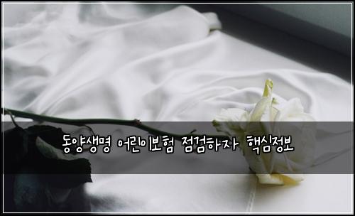 ๋์์๋ช
์ด๋ฆฐ์ด๋ณดํ ์ ๊ฒํ์ ํต์ฌ์ ๋ณด