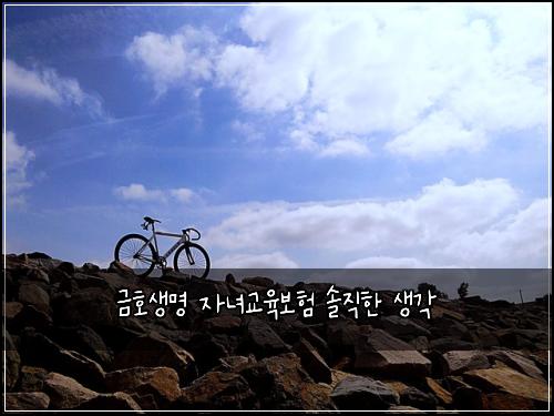 금호생명 자녀교육보험 솔직한 생각