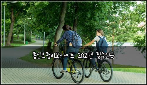 종신보험비교사이트 2021년 필수인듯
