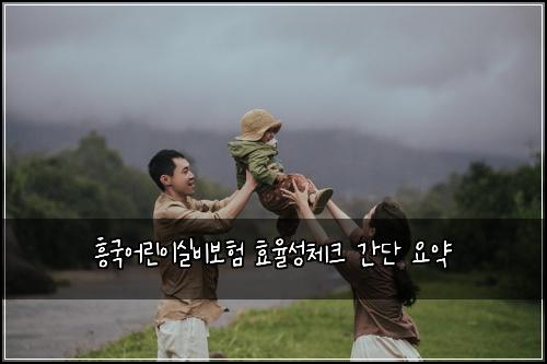 흥국어린이실비보험 효율성체크  간단 요약