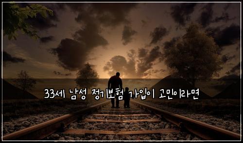 33세 남성 정기보험 가입이 고민이라면