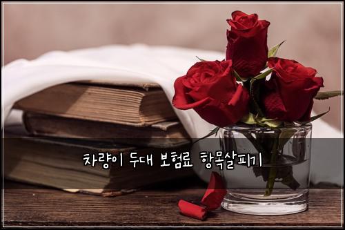 차량이 두대 보험료 항목살피기