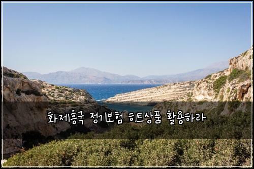 화제흥국 정기보험 히트상품  활용하라