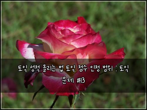 토익 성적 올리는 법 토익 점수 인정 범위 : 토익 문제 #13