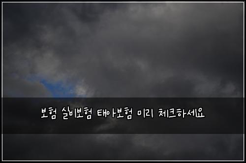보험 실비보험 태아보험 미리 체크하세요