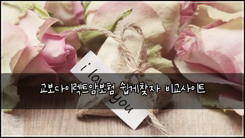 교보다이렉트암보험 쉽게찾자  비교사이트