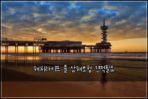 해피라이프 콜 상해보험 견적필요 