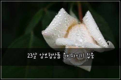 23์ด ์๋ณดํ์ํ ์ค๋นํ์๊ธฐ ์ง์ค