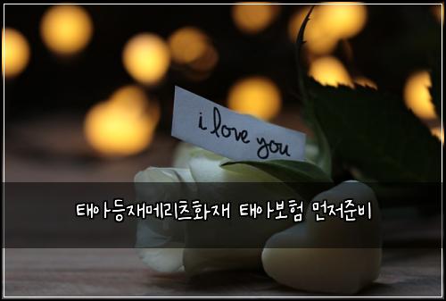태아등재메리츠화재 태아보험 먼저준비 