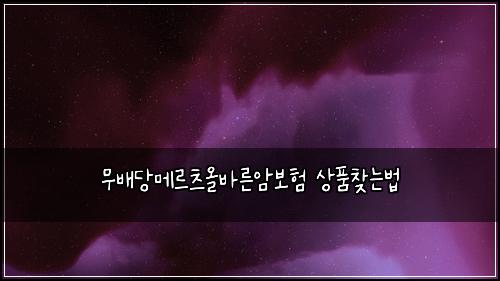 ๋ฌด๋ฐฐ๋น๋ฉ๋ฅด์ธ ์ฌ๋ฐ๋ฅธ์๋ณดํ ์ํ์ฐพ๋๋ฒ