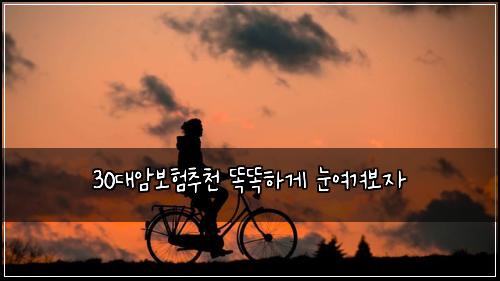 30대암보험추천 똑똑하게 눈여겨보자