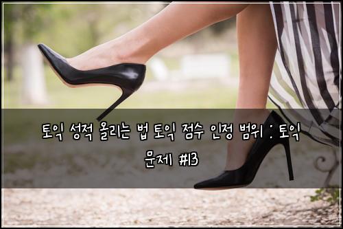 토익 성적 올리는 법 토익 점수 인정 범위 : 토익 문제 #13