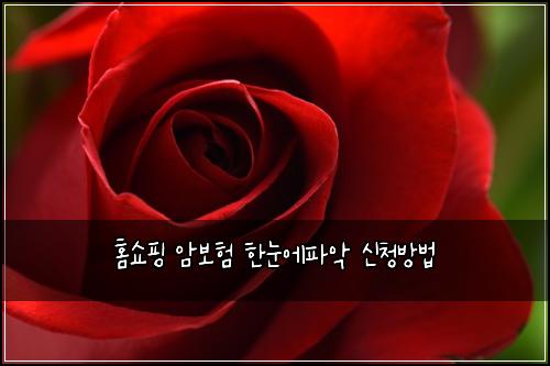 홈쇼핑 암보험 한눈에파악  신청방법