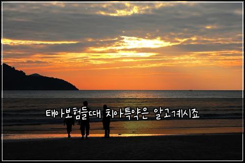 태아보험들때 치아특약은 알고계시죠