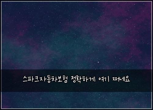 스파크자동차보험 정확하게  여기 쩌네요