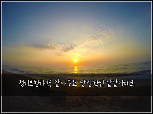 정기보험가격 알아두죠 당장확인 낱낱이체크