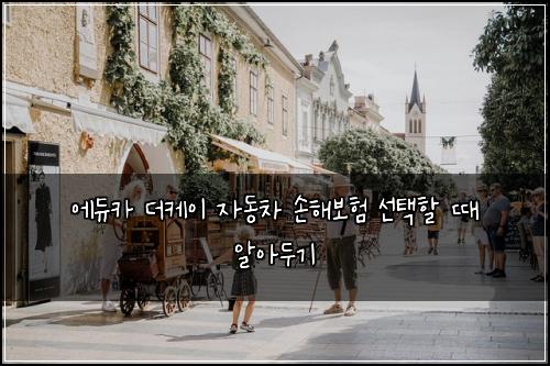 에듀카 더케이 자동차 손해보험 선택할 때 알아두기
