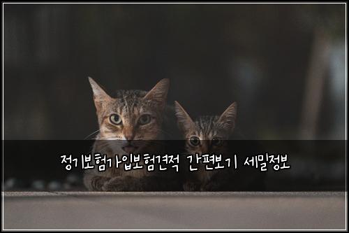 정기보험가입보험견적 간편보기 세밀정보