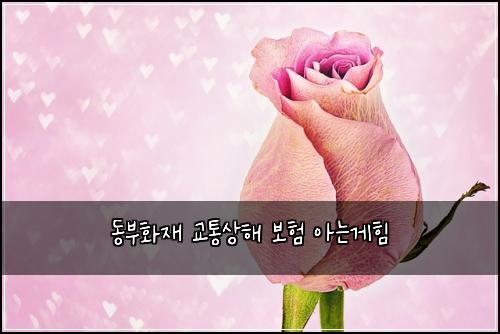 ๋๋ถํ์ฌ ๊ตํต์ํด ๋ณดํ ์๋๊ฒํ