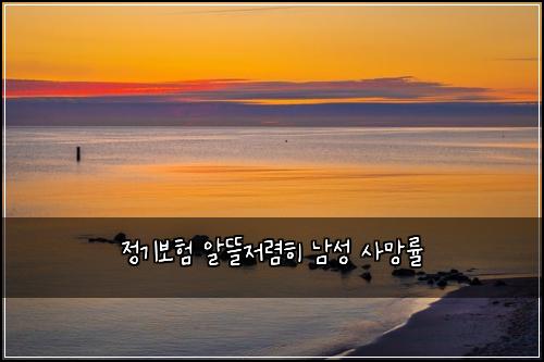 정기보험 알뜰저렴히  남성 사망률
