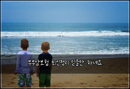 부부암보험 최신정리  믿을만 하네요