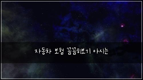 자동차 보험 꼼꼼히보기  아시는