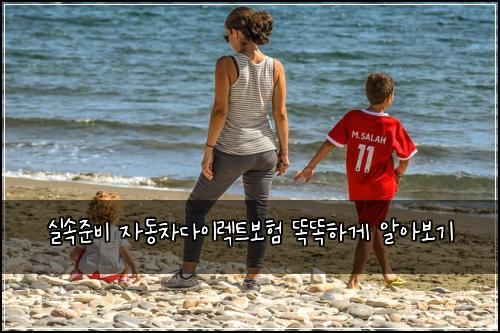 실속준비 자동차다이렉트보험 똑똑하게 알아보기