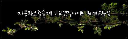 자동차보험승계 비교견적사이트 체계적구성
