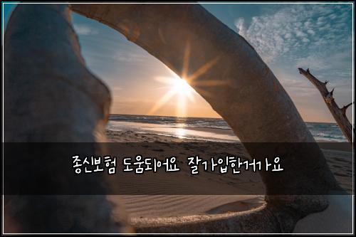 종신보험 도움되어요  잘가입한거가요