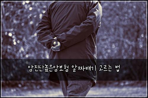 암진단높은암보험 알짜배기 고르는 법