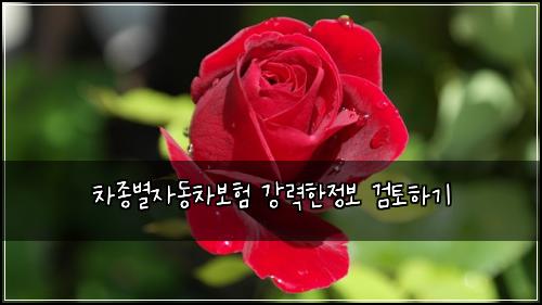 ์ฐจ์ข
๋ณ์๋์ฐจ๋ณดํ ๊ฐ๋ ฅํ์ ๋ณด ๊ฒํ ํ๊ธฐ