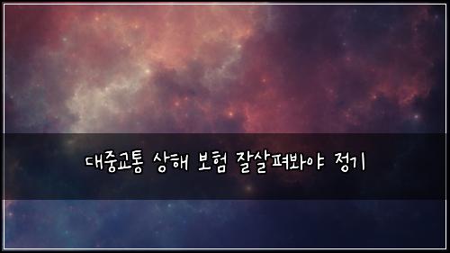 ๋์ค๊ตํต ์ํด ๋ณดํ ์์ดํด๋ด์ผ ์ ๊ธฐ