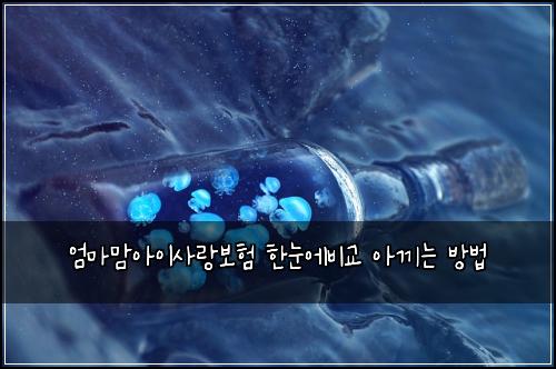 엄마맘아이사랑보험 한눈에비교  아끼는 방법