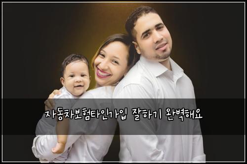 ์๋์ฐจ๋ณดํํ์ธ๊ฐ์
์ํ๊ธฐ ์๋ฒฝํด์