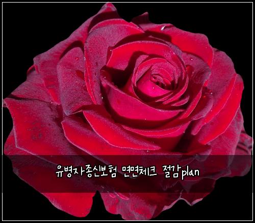 ์ ๋ณ์์ข
์ ๋ณดํ ๋ฉด๋ฉด์ฒดํฌ ์ ๊ฐplan