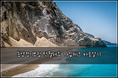 동양정기보험 탁월해요  가입체크 바로알기