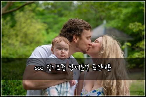ceo 정기보험 상세분석  최신내용