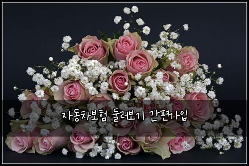 ์๋์ฐจ๋ณดํ ๋๋ฌ๋ณด๊ธฐ ๊ฐํธ๊ฐ์