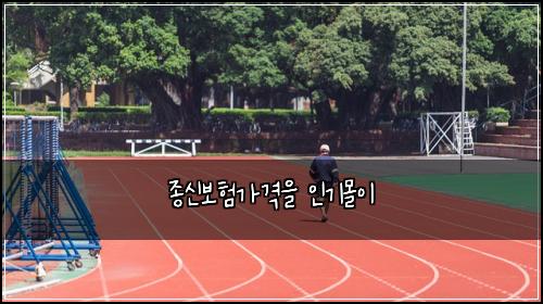 종신보험가격을 인기몰이