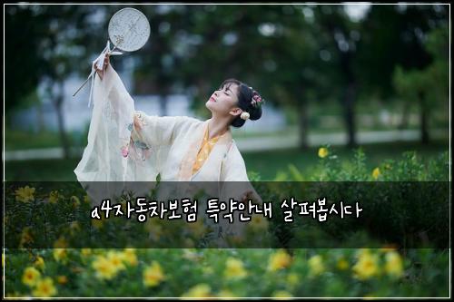 a4자동차보험 특약안내  살펴봅시다