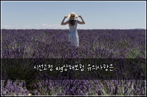 시선고정 aig상해보험 유의사항은 