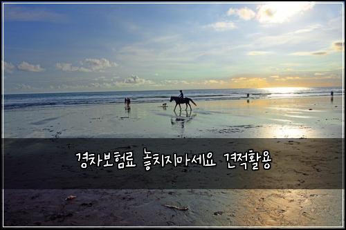 경차보험료 놓치지마세요 견적활용