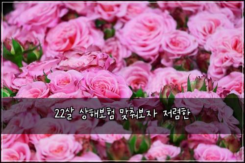 22์ด ์ํด๋ณดํ ๋ง์ถฐ๋ณด์ ์ ๋ ดํ