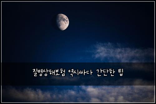 질병상해보험 역시싸다  간단한 팁