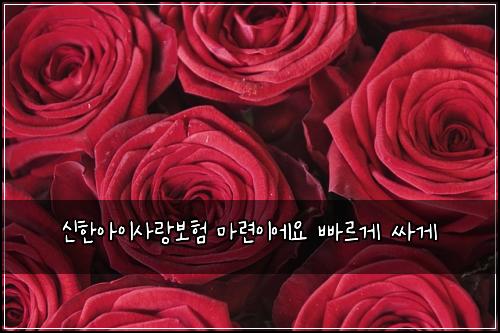 ์ ํ์์ด์ฌ๋๋ณดํ ๋ง๋ จ์ด์์ ๋น ๋ฅด๊ฒ ์ธ๊ฒ
