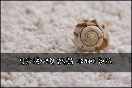 ๋น์ผ์๋์ฐจ๋ณดํ ๊ฒฌ์ ๊ณต์ ๋ฏธ๋ฆฌํด์ผ ์ข์์